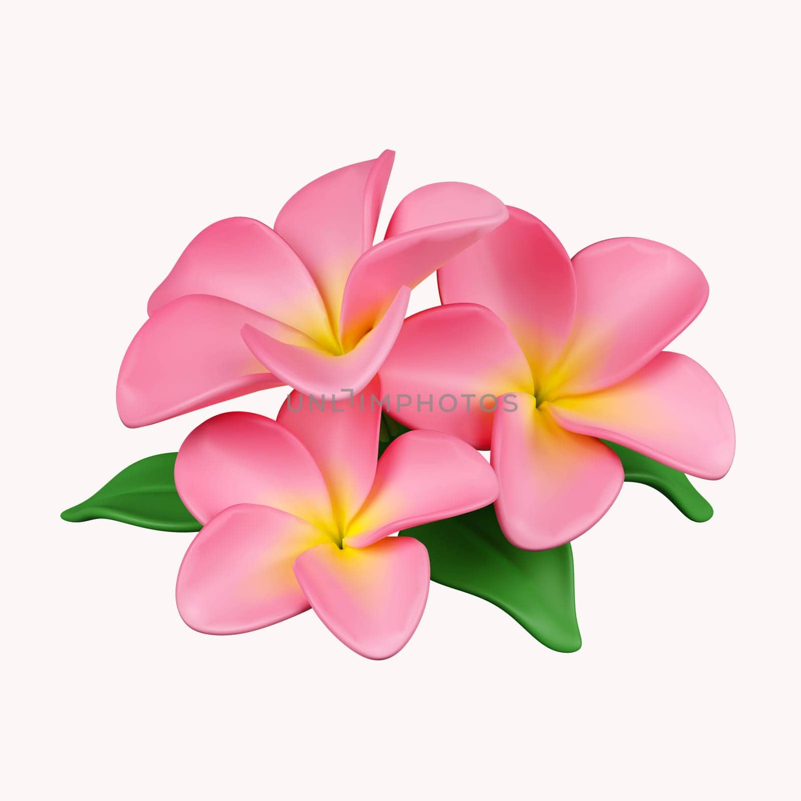 3d frangipani flowers .icon isolated on white background. 3d rendering illustration. Clipping path..