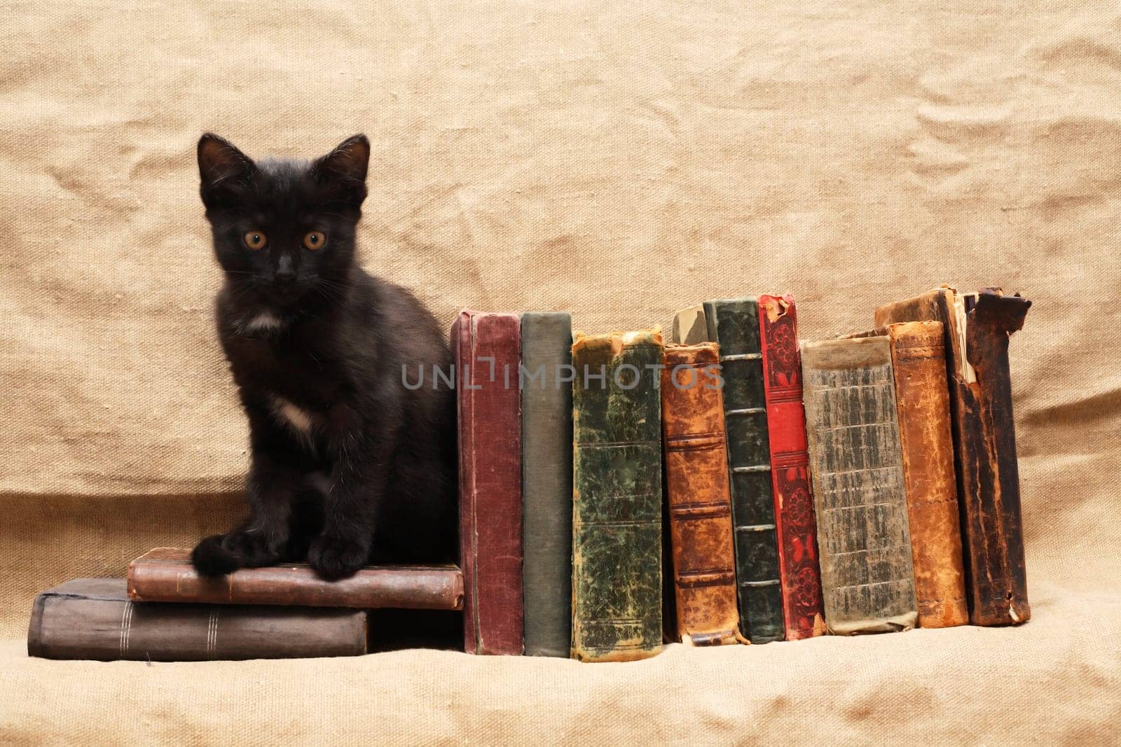 Small black kitten near old books on canvas background