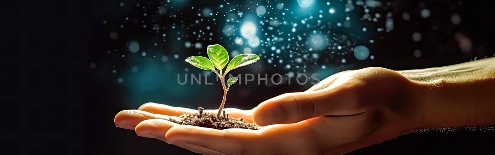 A womans hand cradles a handful of earth with a fresh green sprout, depicting growth, nature, and environmental stewardship.