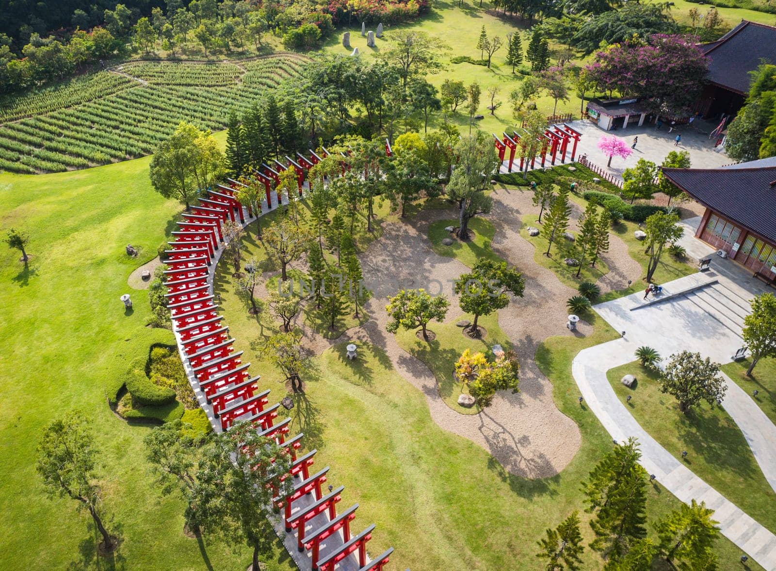 Aerial views of Japanese theme park Hinoki Land in Chai Prakan District, Chiang Mai, Thailand by worldpitou