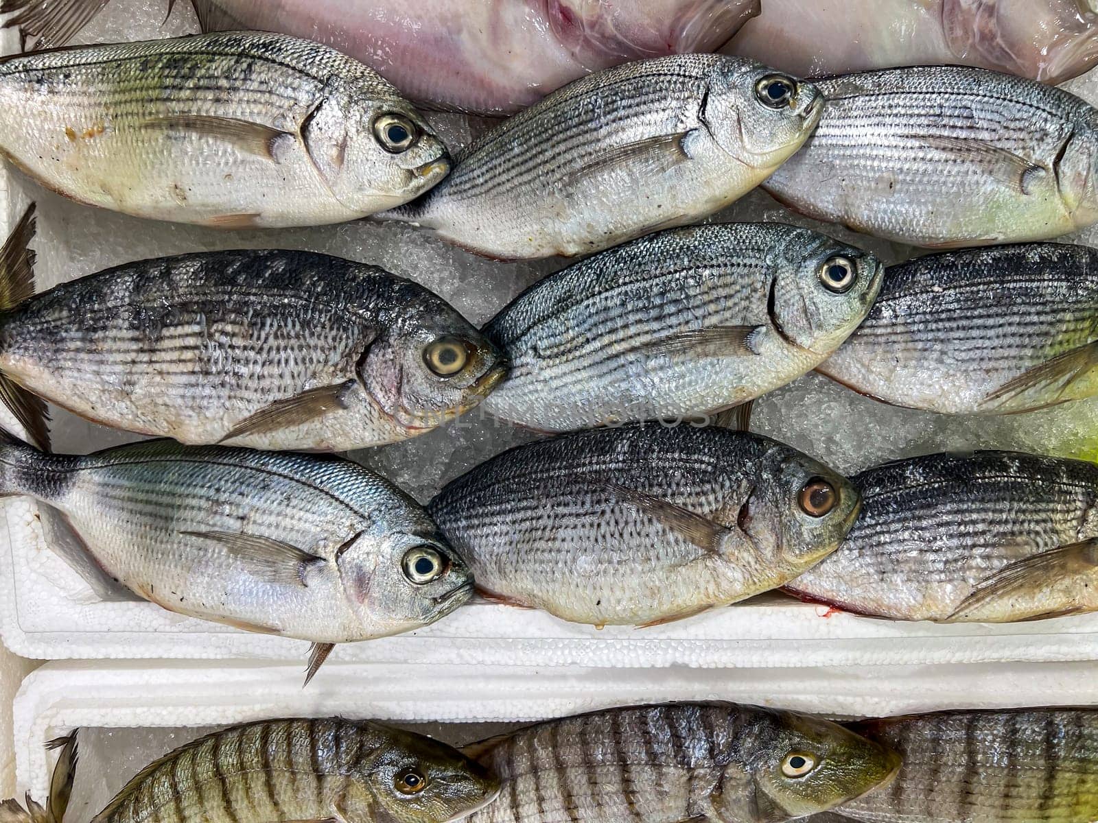 Close-up of fresh raw fish in ice on the counter at a fish market