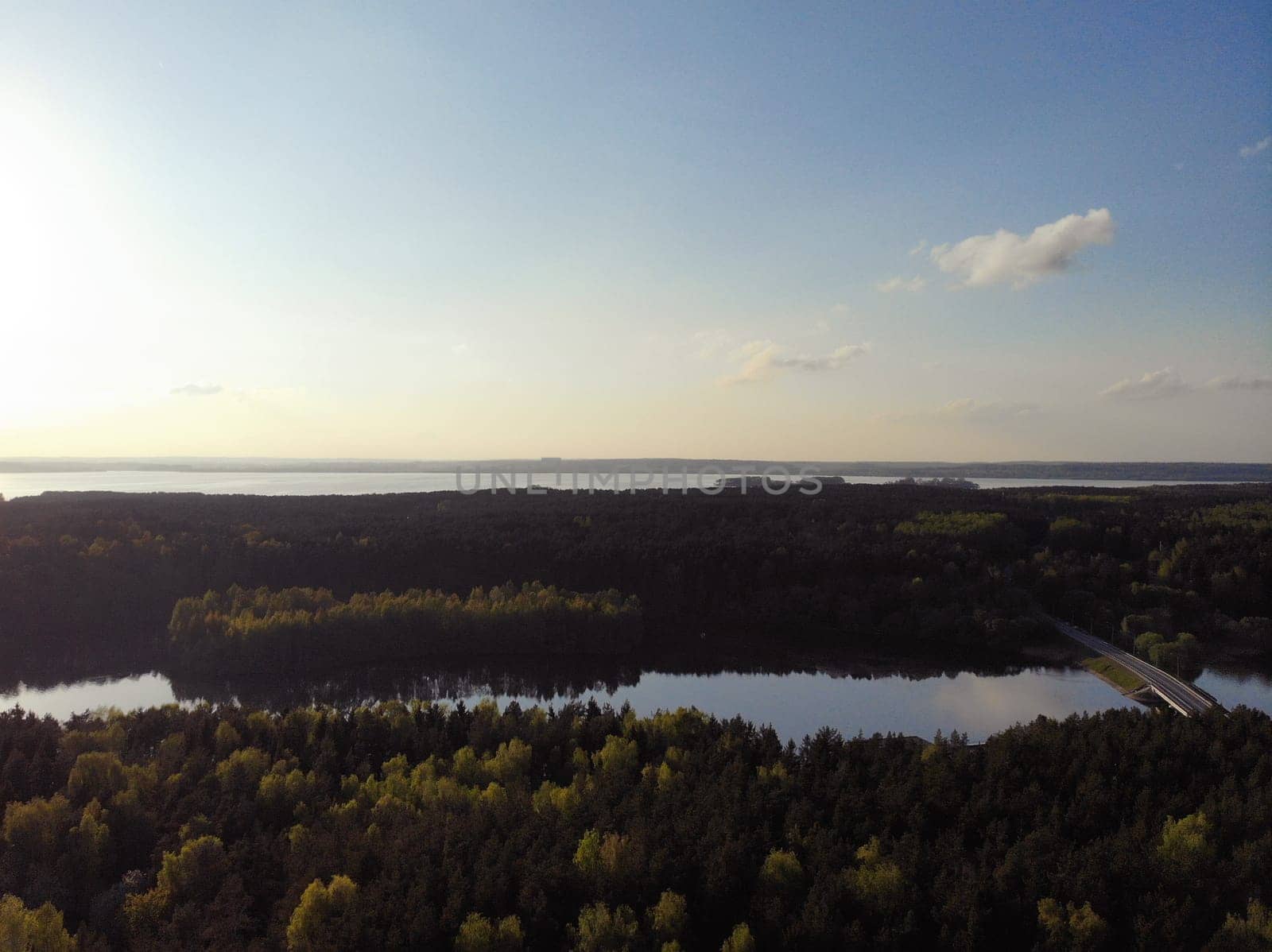 Aerial view of a green forest and a small river. the view from the top