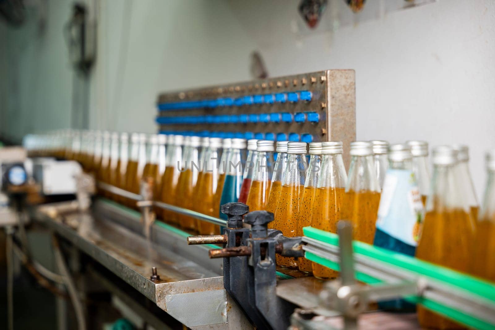 Transparent bottles move along a conveyor belt in the beverage factory filling up with organic basil seed drinks mixed with pomegranate. This clean automated manufacturing guarantees quality.