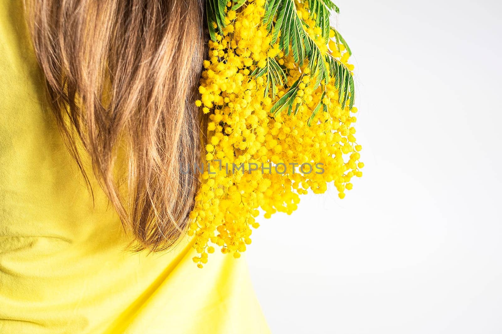 Close-up back brown hair with bouquet of yellow mimosa. Health and hair care by Annavish