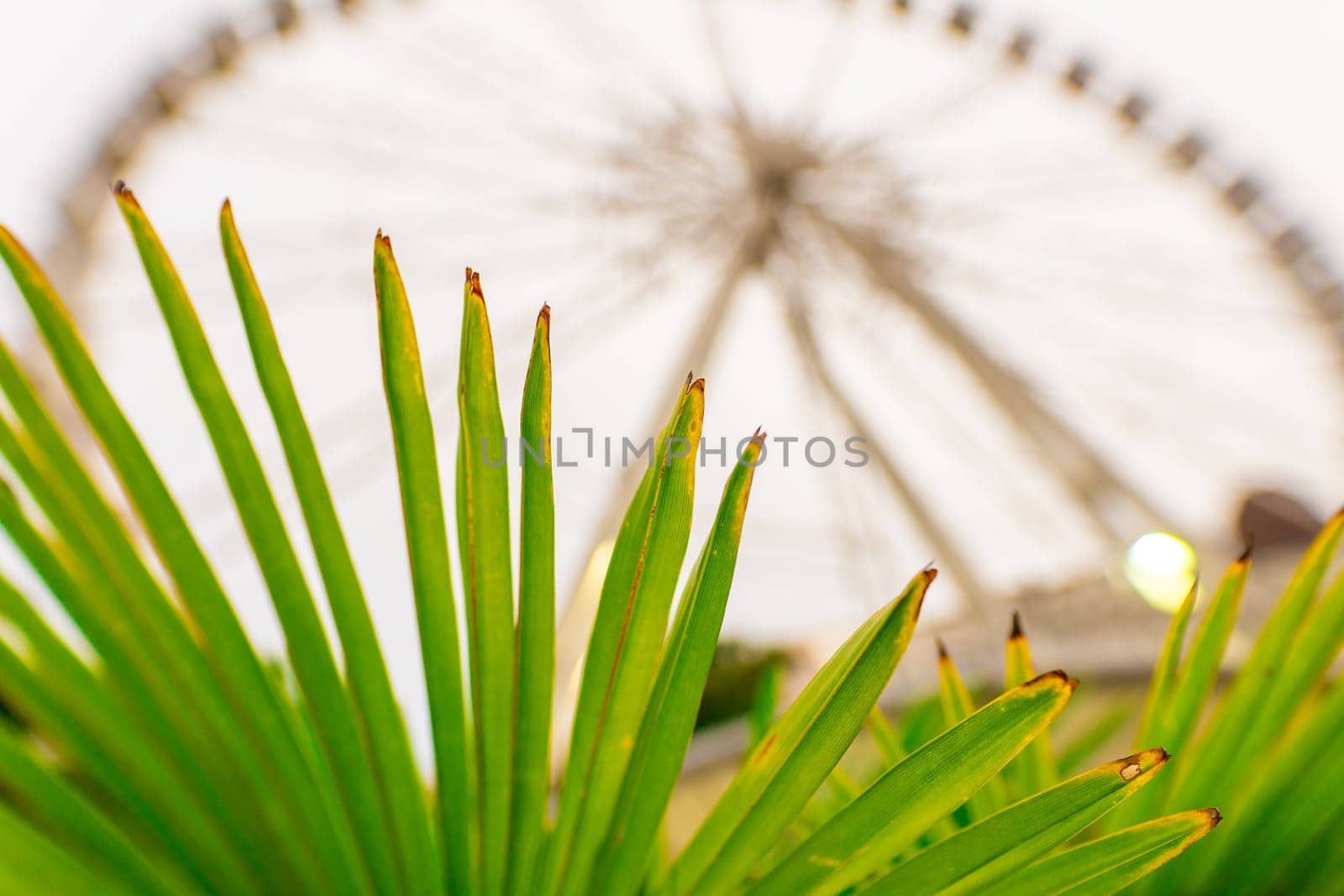 Big, tall white Ferris wheel in front of a perfect blue sky. Happy summer vacation feelings. by Zelenin