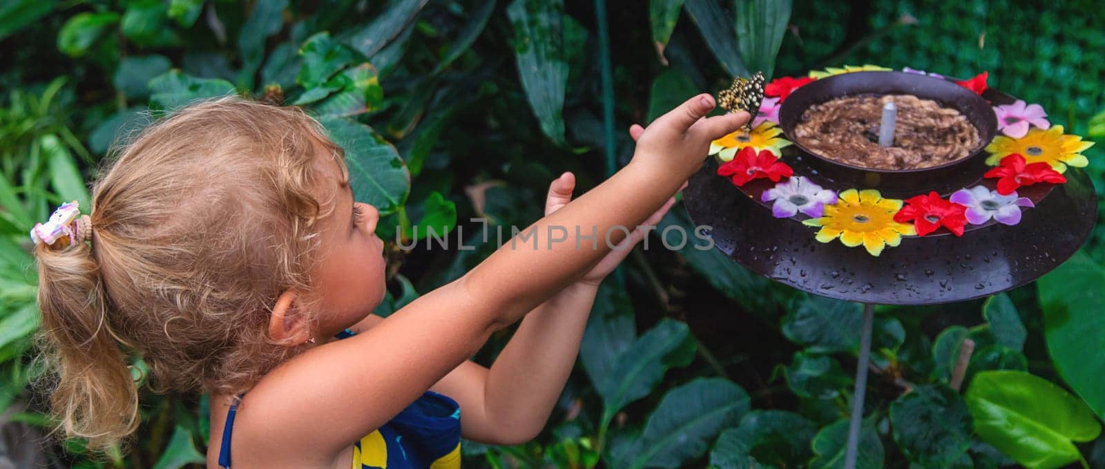 A child holds a beautiful butterfly. Selective focus. by yanadjana