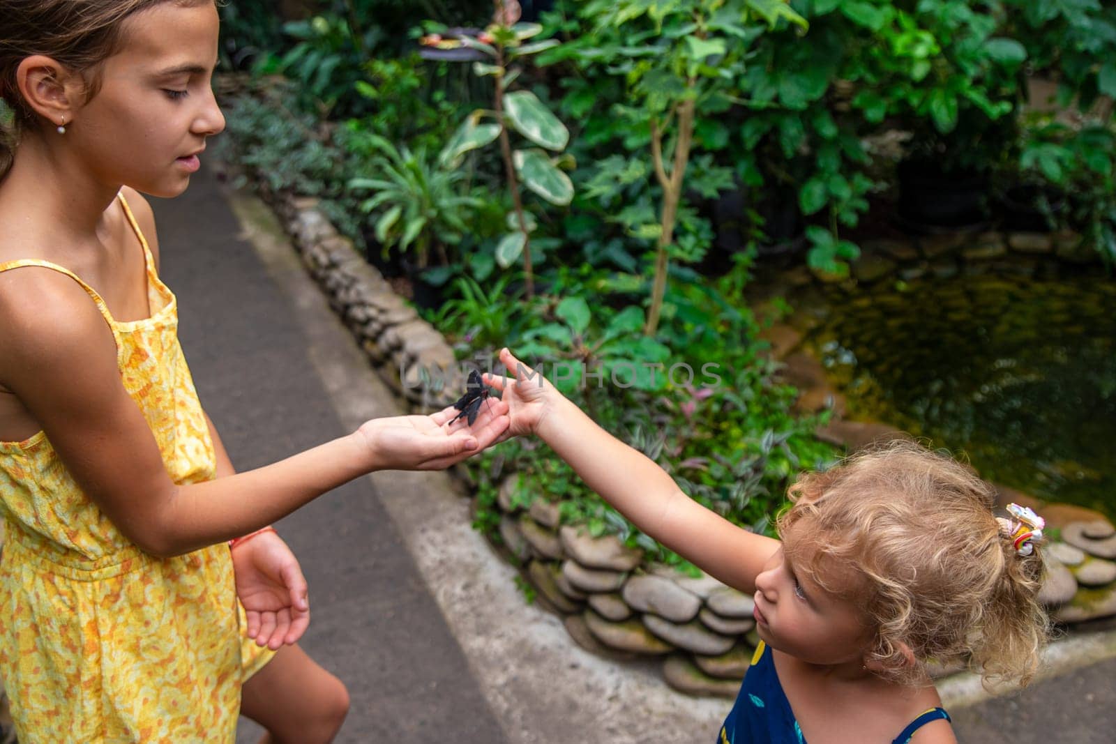A child holds a beautiful butterfly. Selective focus. Nature.