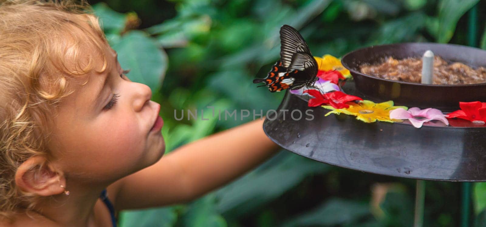 A child holds a beautiful butterfly. Selective focus. by yanadjana