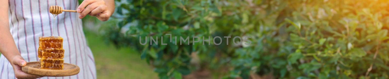 A woman holds honey in the garden. Selective focus. Nature.