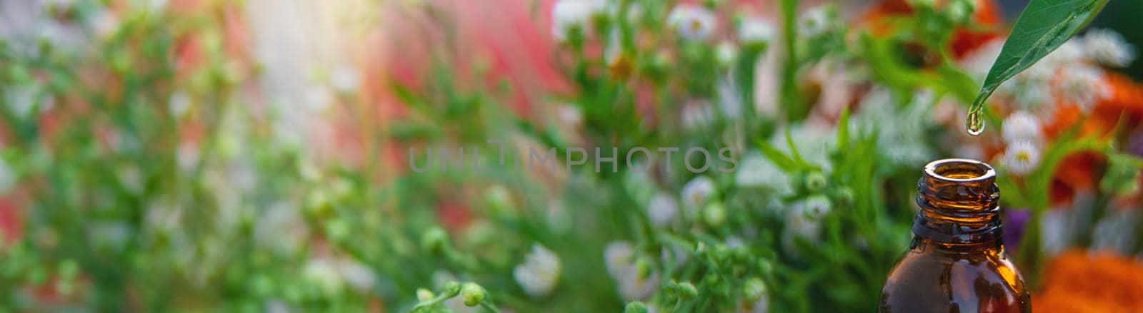 Essential oil of flowers and herbs drop. Selective focus. Nature.