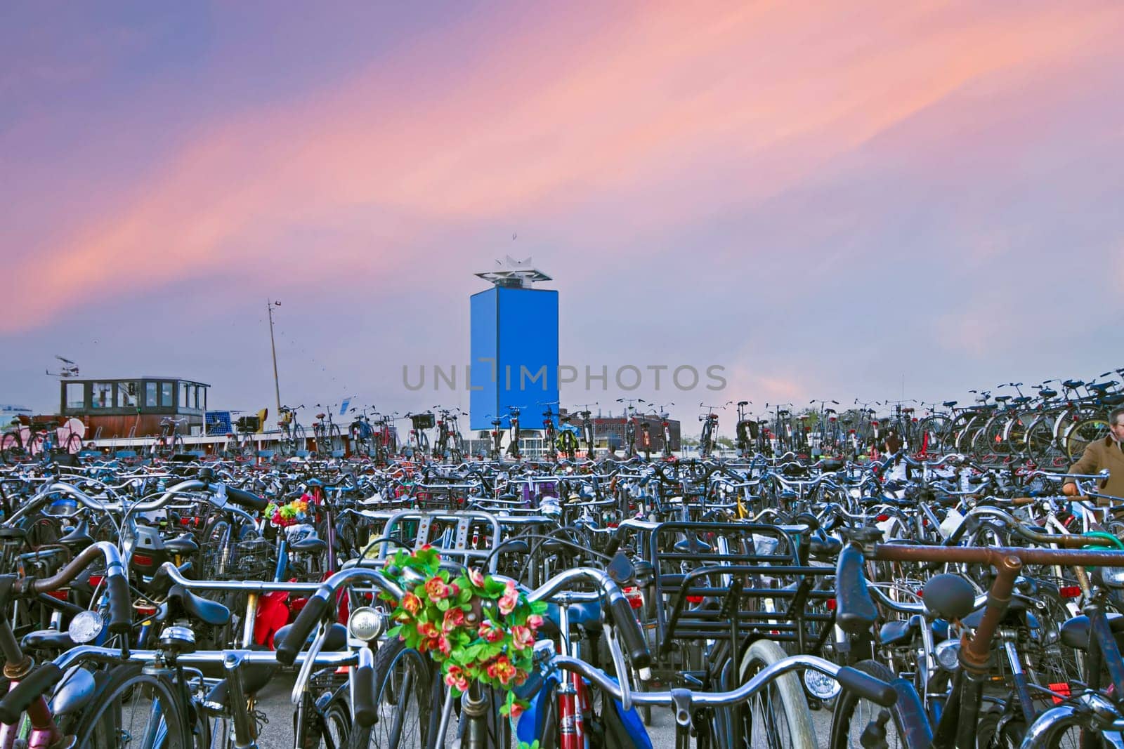 Bike storage in Amsterdam harbor in the Netherlands at sunset