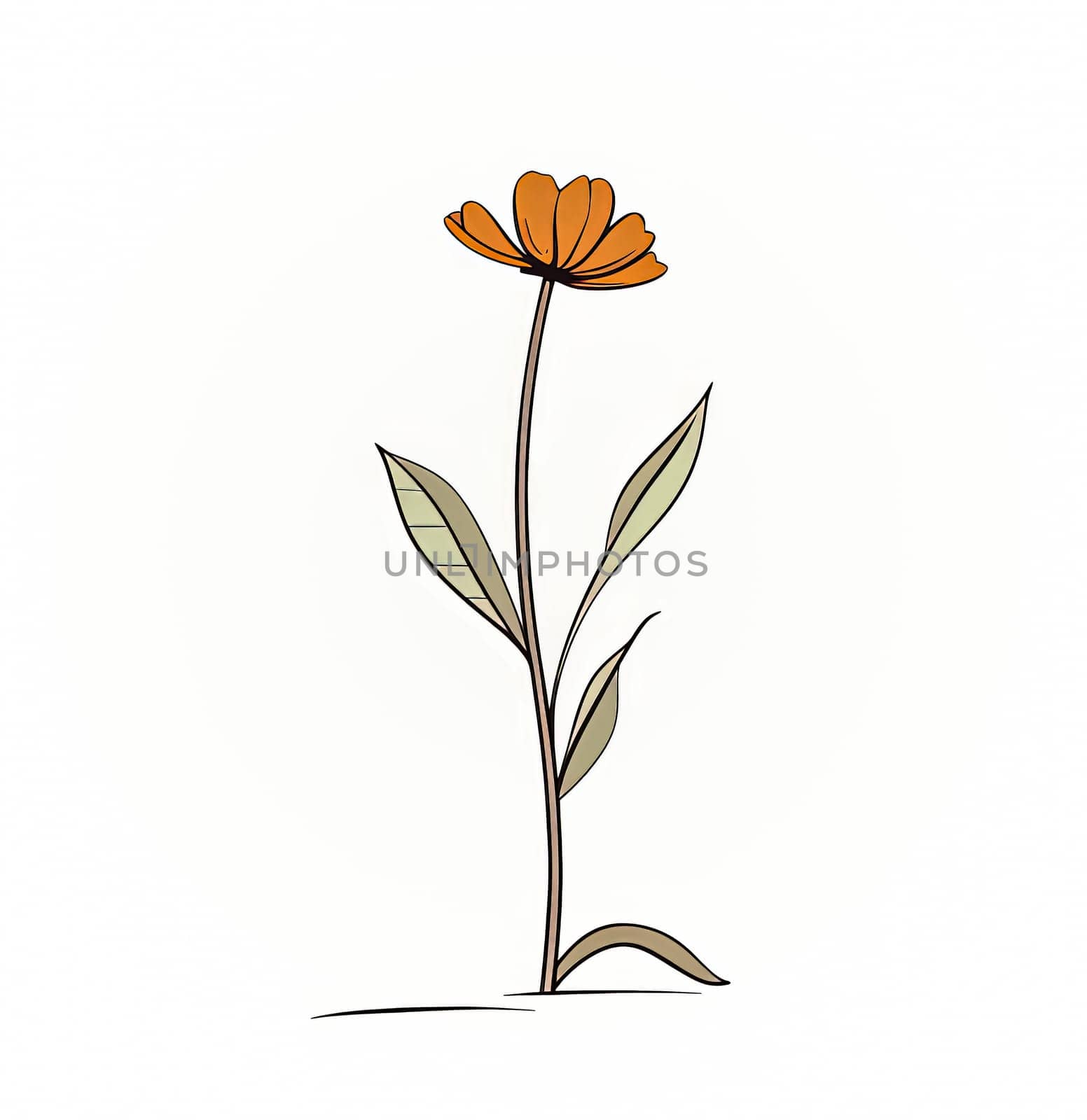 Minimalistic floral botanical line art featuring bouquets of wild and garden plants, branches, leaves, flowers, and herbs. Ideal for logos, tattoos, invitations, and cards.