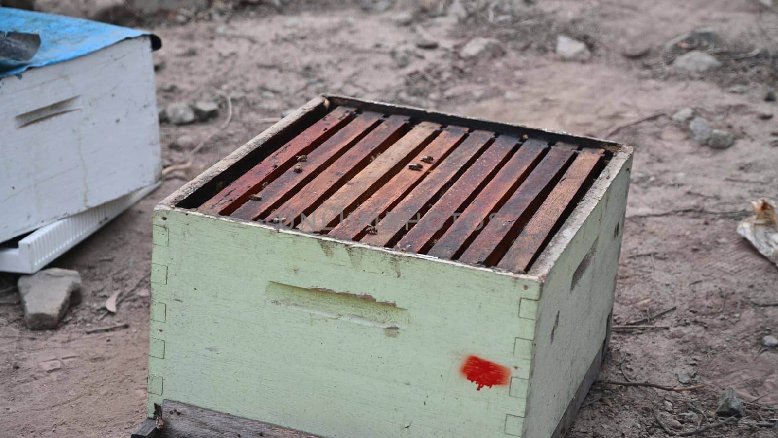 Wooden hive, bee farm in the countryside