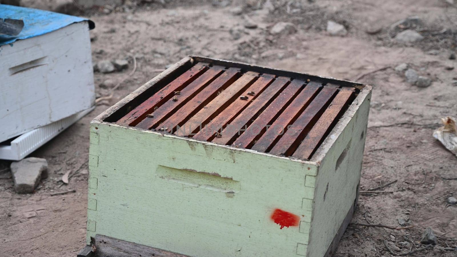 Wooden hive, bee farm in the countryside. by Peruphotoart