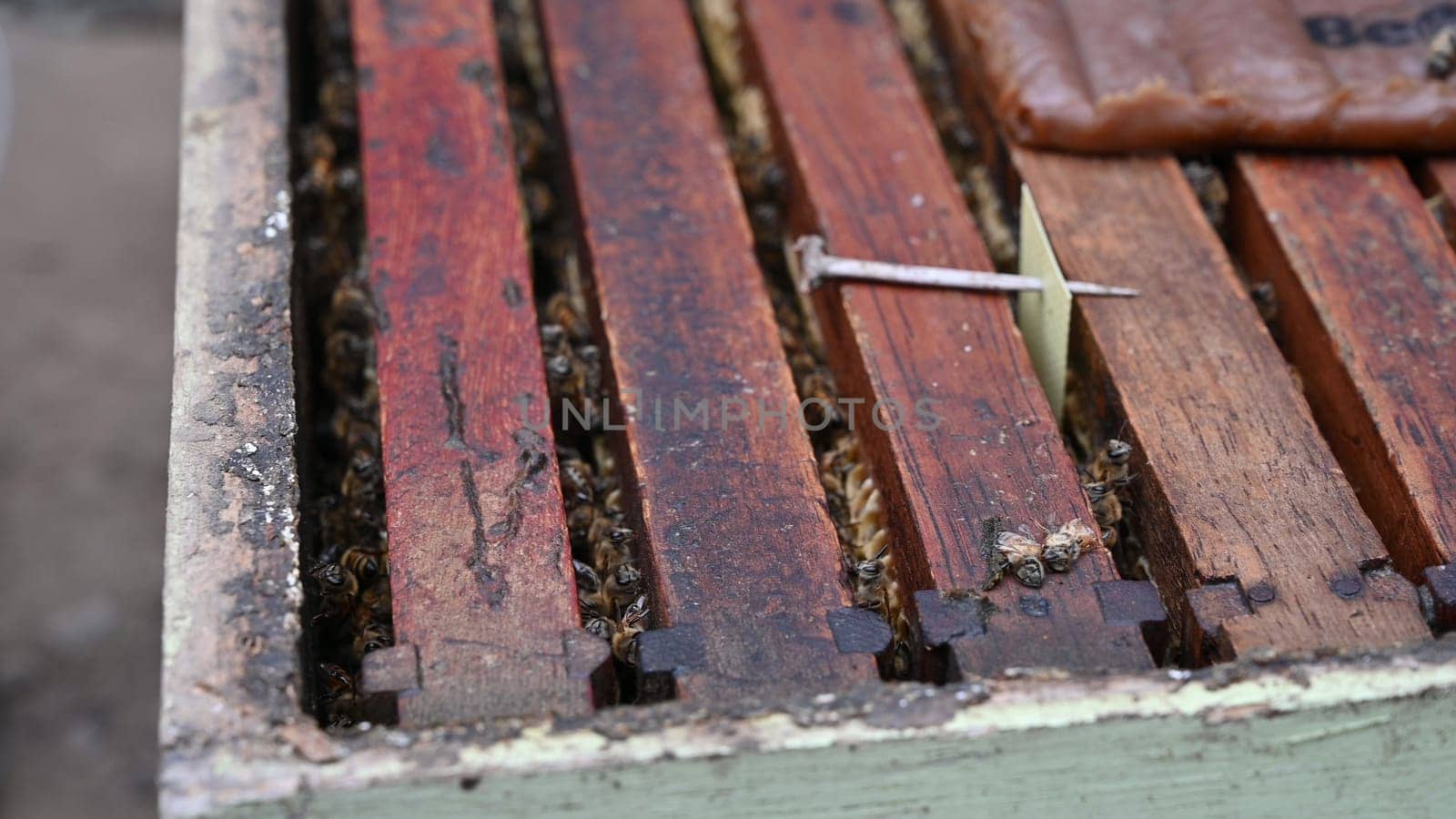 Wooden hive, bee farm in the countryside