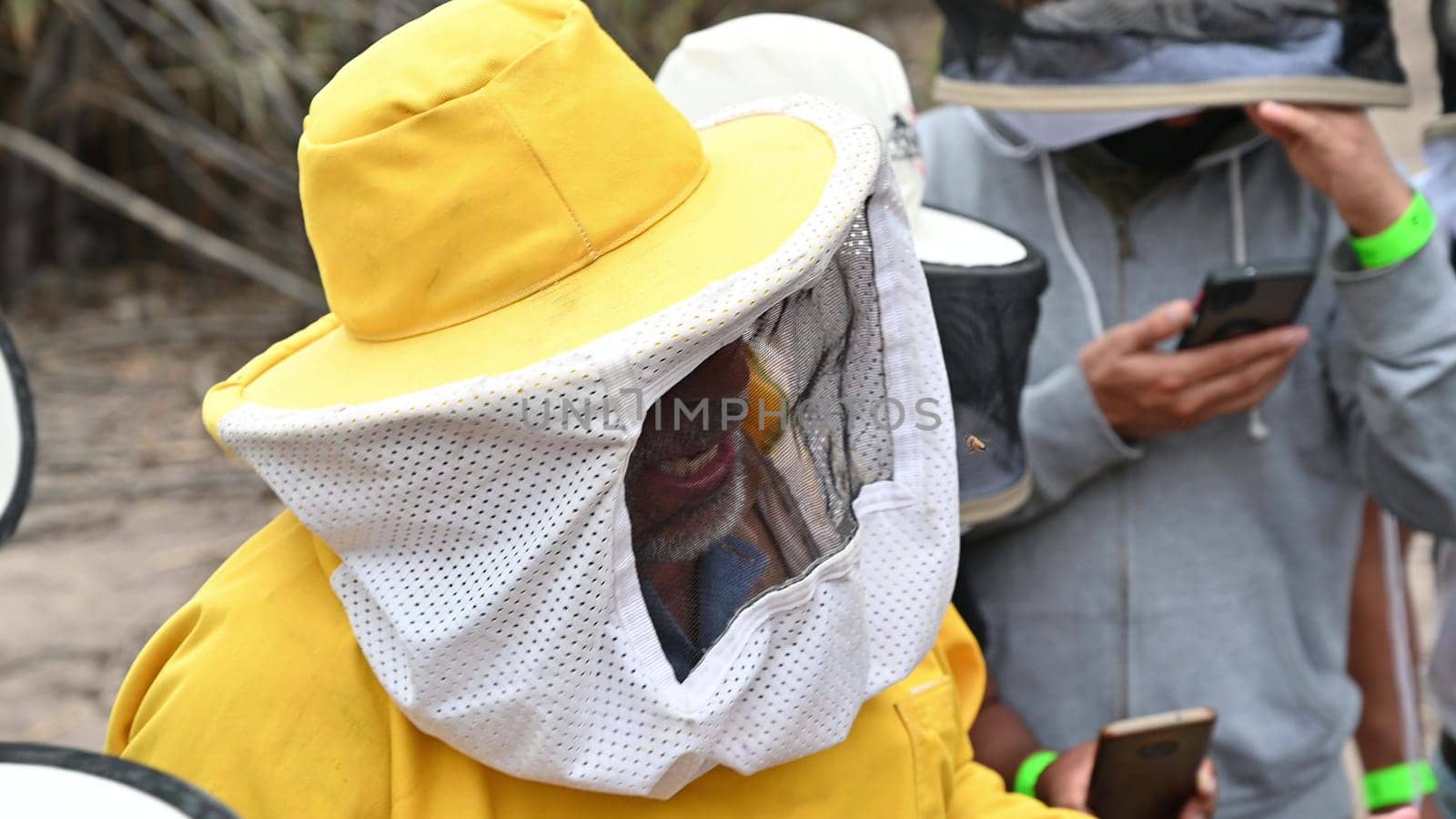 A beekeeper in a protective suit works with bees. A beekeeper inspects wooden beehives. Beekeeping. Eco apiary in nature. Fresh natural honey. by Peruphotoart
