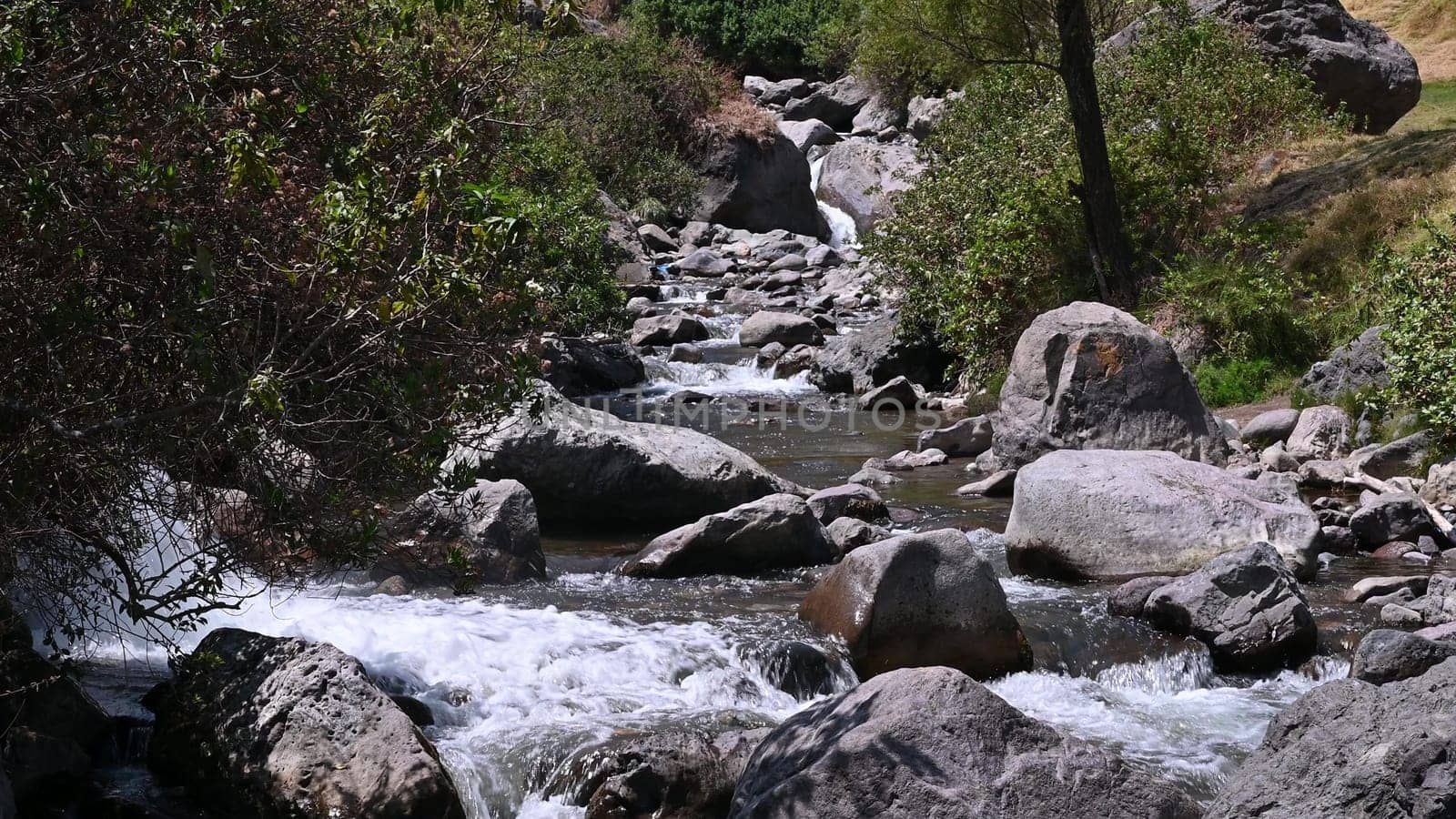 Clear stream running through stone rocks. Abundant river flowing on stone bottom. Wild mountain river water splashing in summer day by Peruphotoart