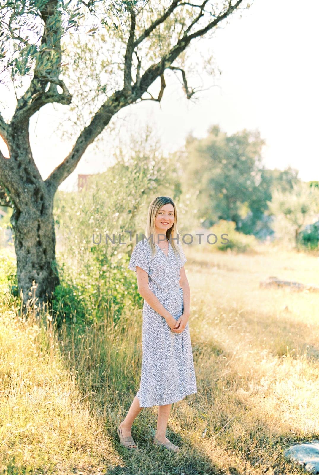 Smiling girl stands near an olive tree in a grove. High quality photo