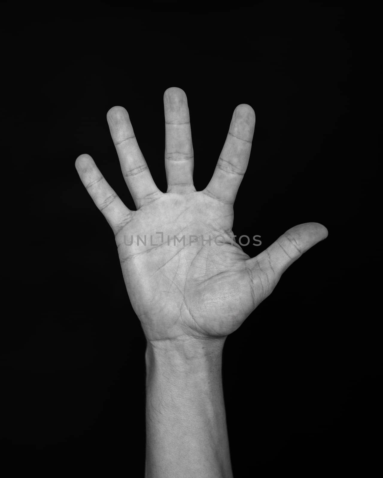 A human hand raised with fingers spread against a stark black background by apavlin