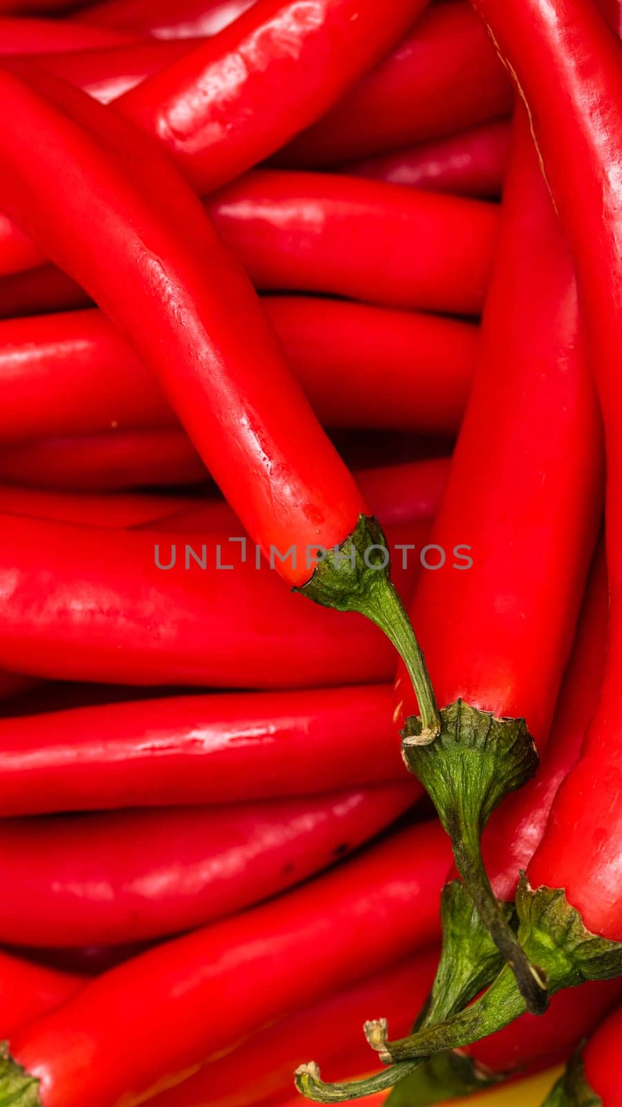 Red hot chilli peppers, close up. Background of red chilies by vladispas