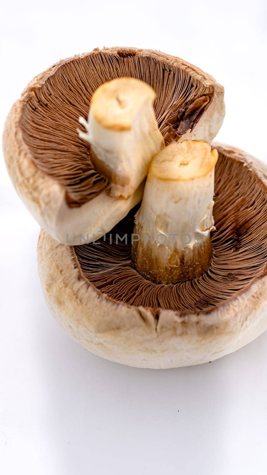 Fresh champignons, champignon mushrooms, close-up, isolated by vladispas
