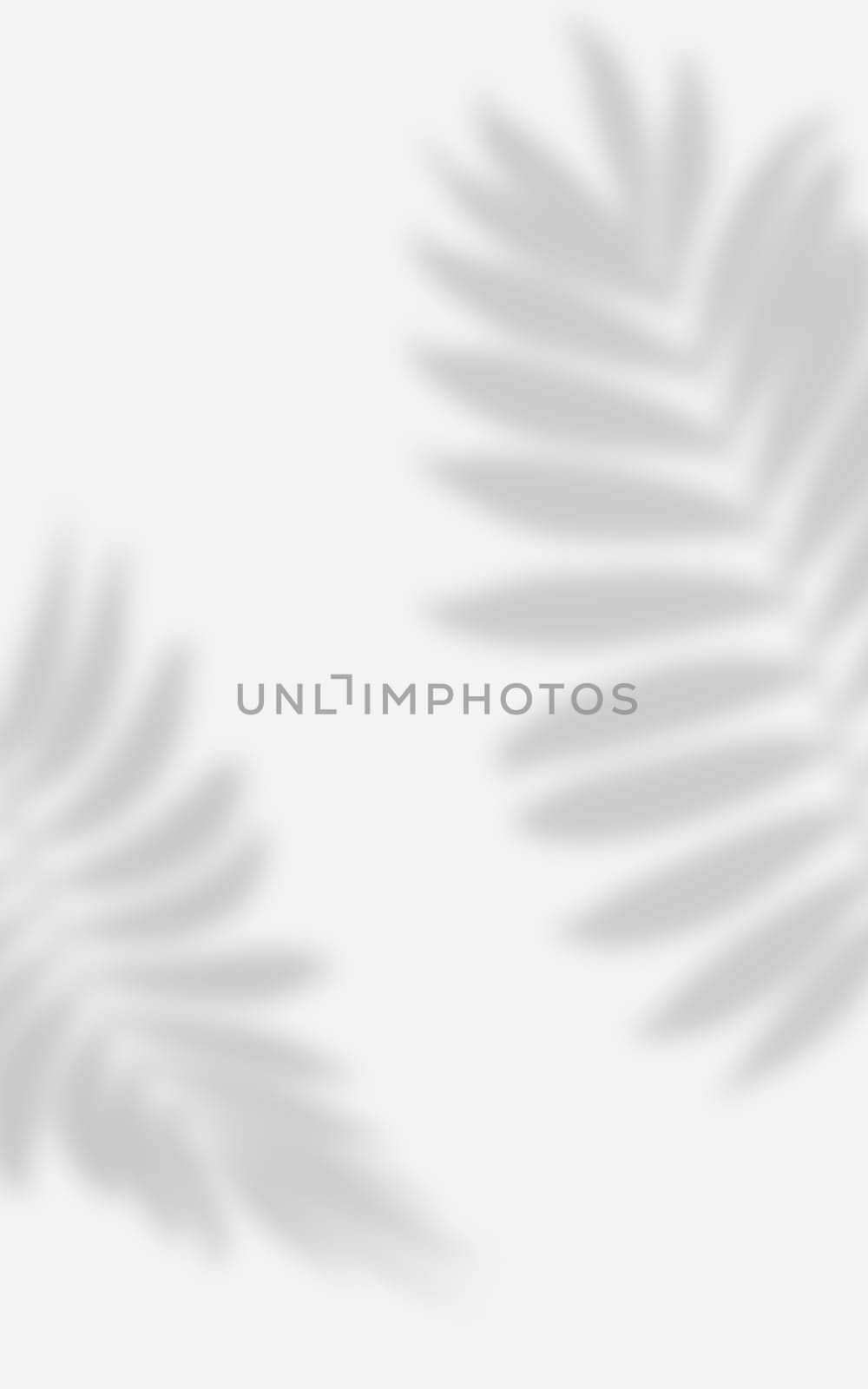 Abstract white with shadow from a palm tree branch with leaves, a place for displaying items, advertising and promotion