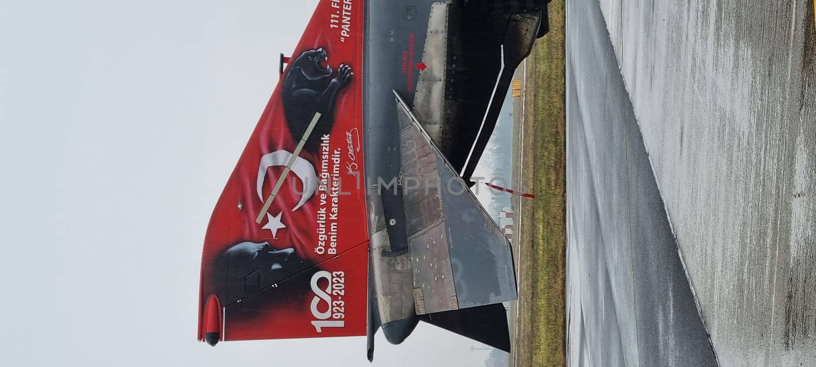Turkish combat aircraft tail commemorating the 100th anniversary of Ataturk death. Vertical Image. McDonnell Douglas F-4 Phantom II of Turkish Air Force
