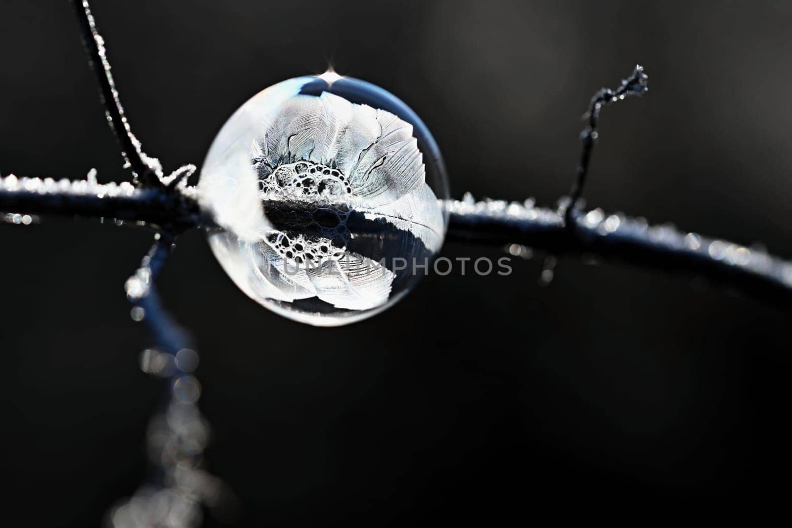 Frozen bubble in nature. A beautiful macro shot of nature in winter. Concept for environment, water and frost. by Montypeter