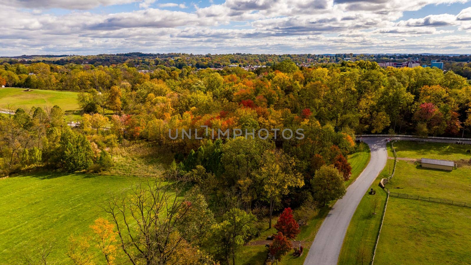 An Aerial View of a Colorful Autumn Forest on a Sunny Fall Day