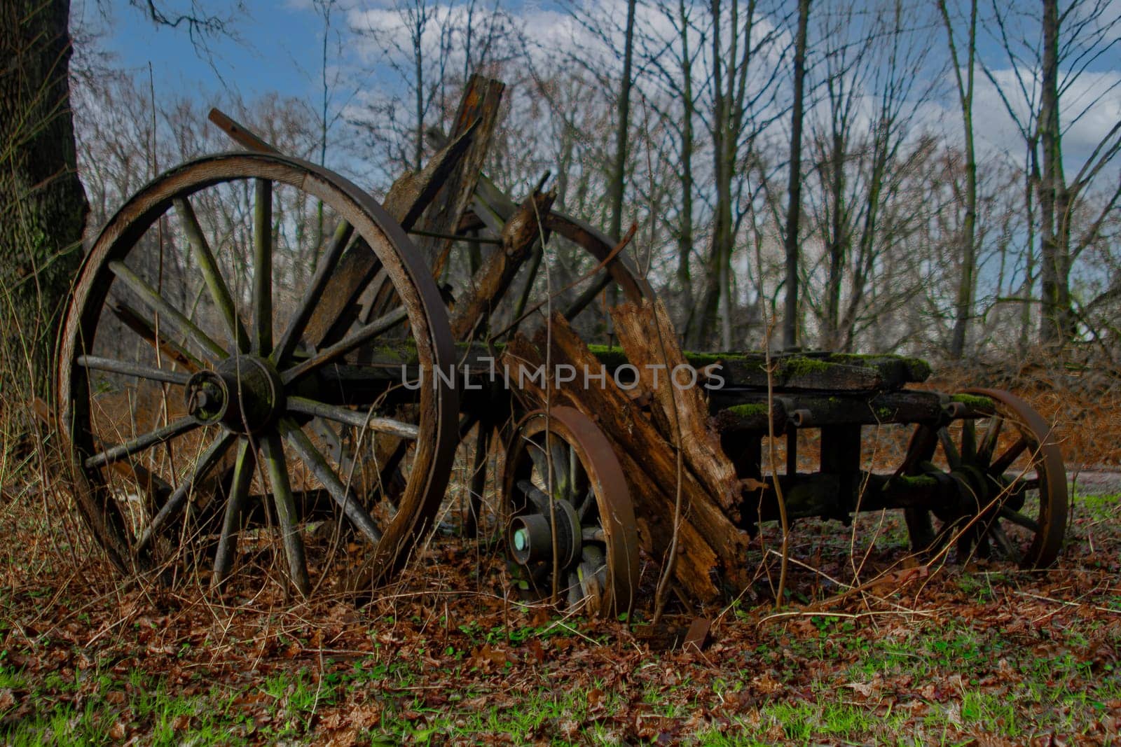 An old wooden wagon wheel is sitting in the grass. High quality