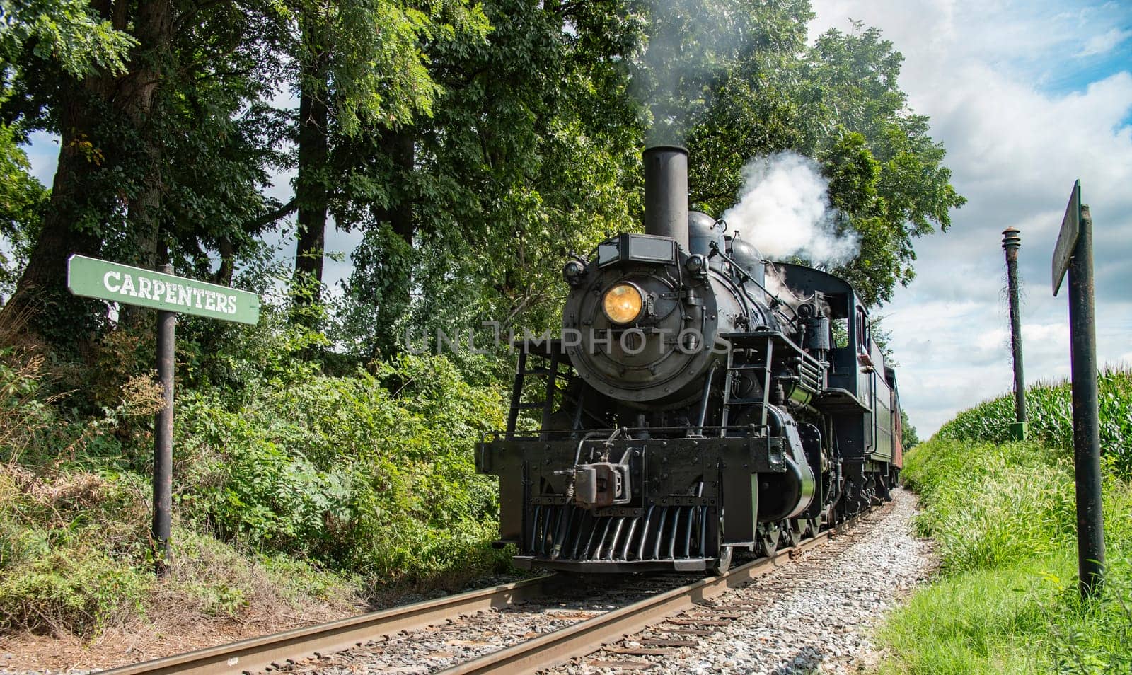 Historic Number 89 Steam Train Approaching 'Carpenters' Station Amid Lush Trees On A Clear Day.