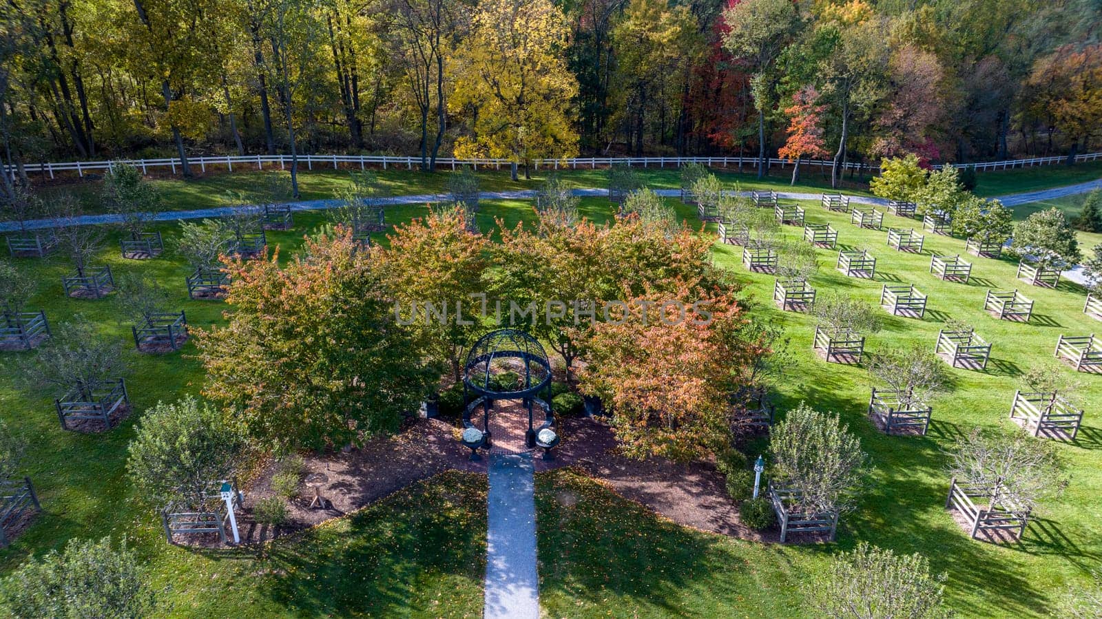 Aerial View of a Iron Gazebo in the Center of an Orchard on an Autumn Day by actionphoto50