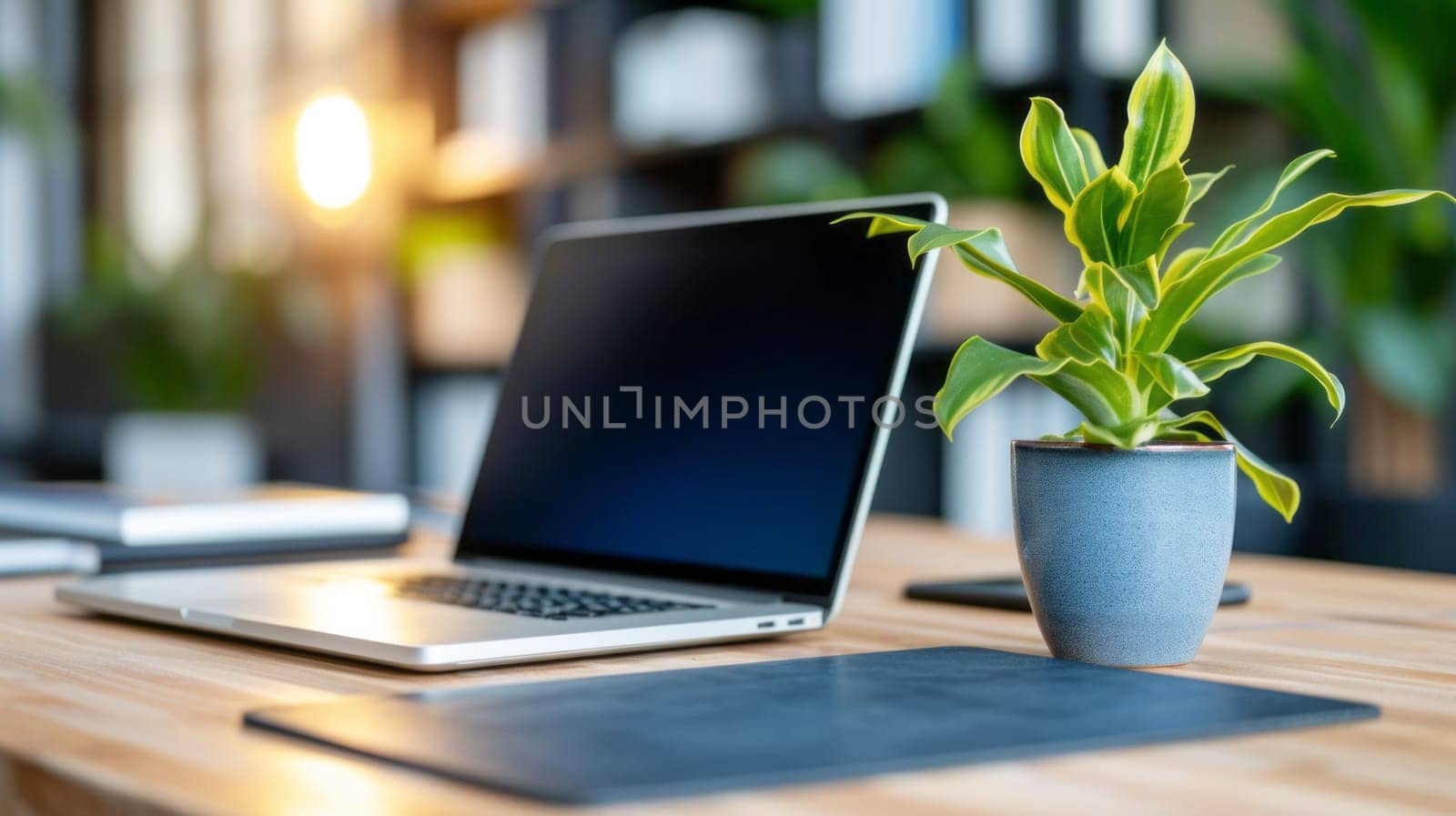 The laptop is placed on a white table with green grass and morning sun shines. High quality photo