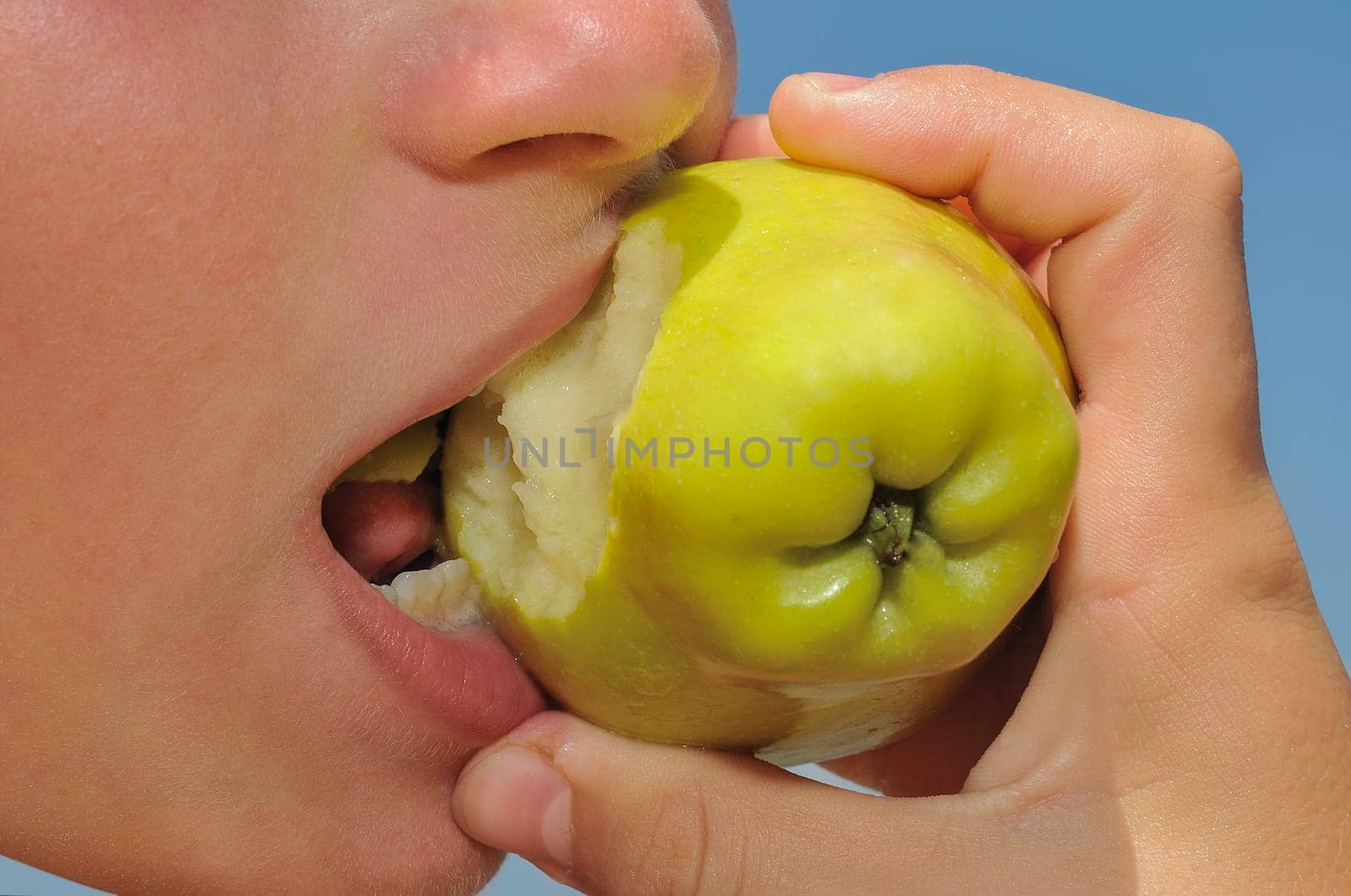 A boy is bitten by a hard green apple, which he holds tightly in his hand.