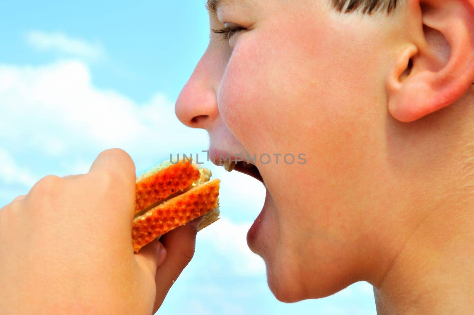 Boy eating a cheese sandwich by ben44