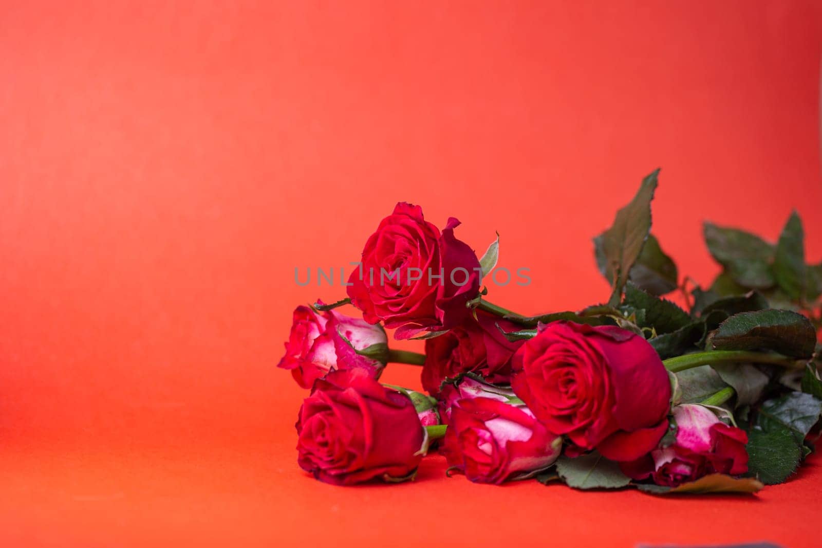 Red Roses Bouquet on Red Background. Valentines Day, Love, Romance. Copy Space. Top View. by Pukhovskiy