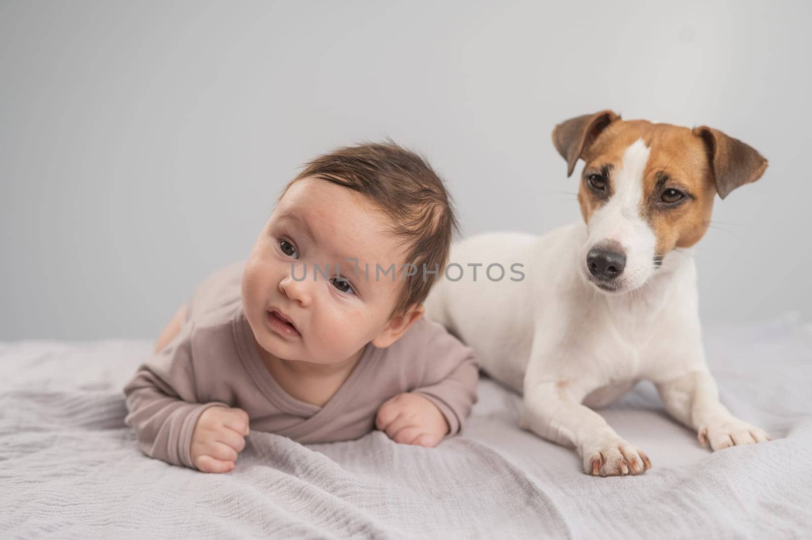 Portrait of a baby lying on his stomach and a Jack Russell Terrier dog