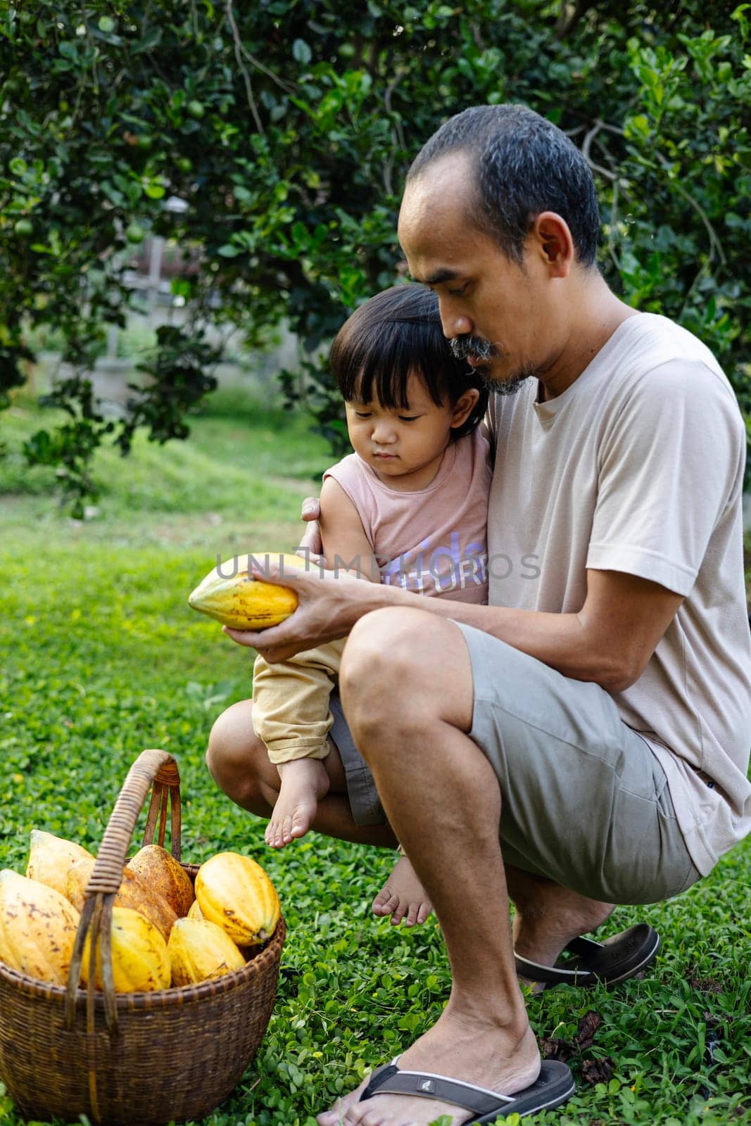Father Is Teaching Son About CoCoa Fruit Cultivation by urzine