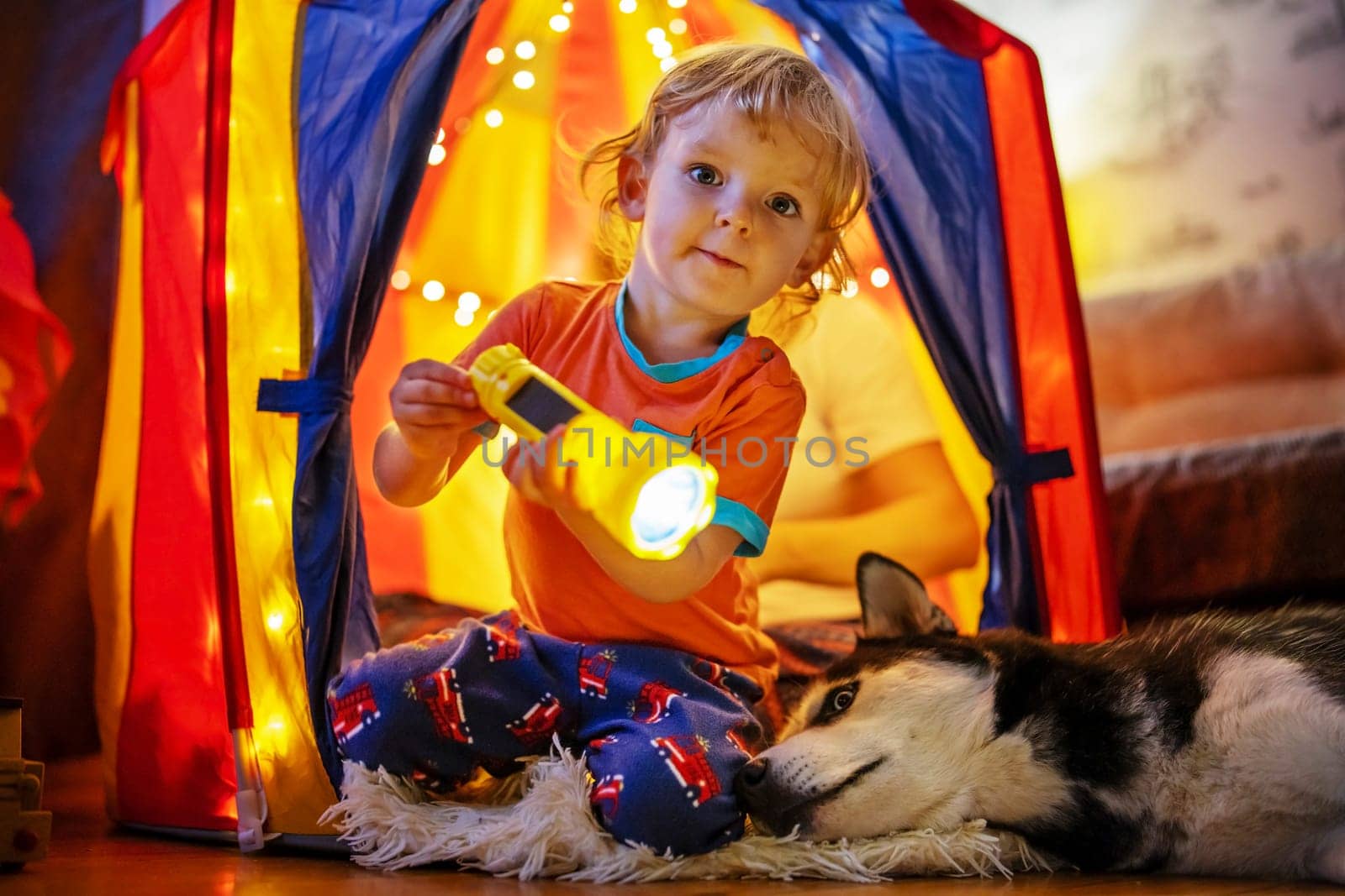 Toddler holding a flashlight in a colorful tent, accompanied by a husky
