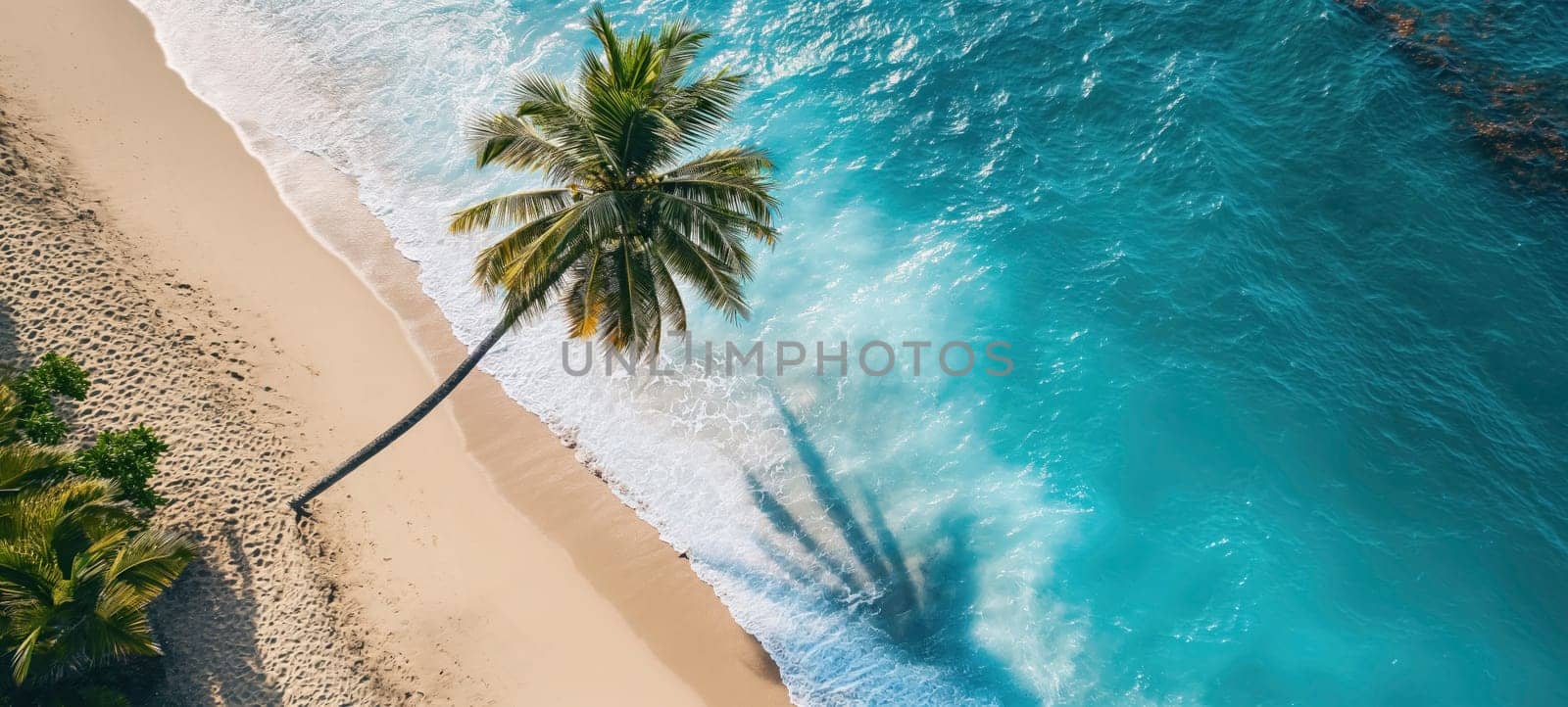Aerial shot of a solitary palm tree on a pristine sandy beach with the turquoise ocean waves washing ashore.