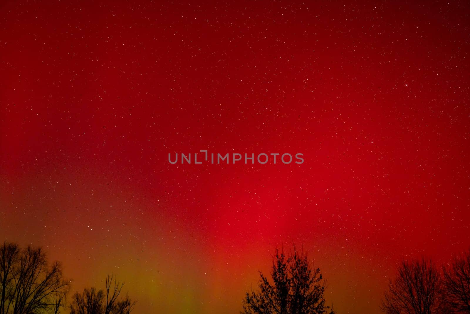 Red bright northern lights in the sky by VitaliiPetrushenko
