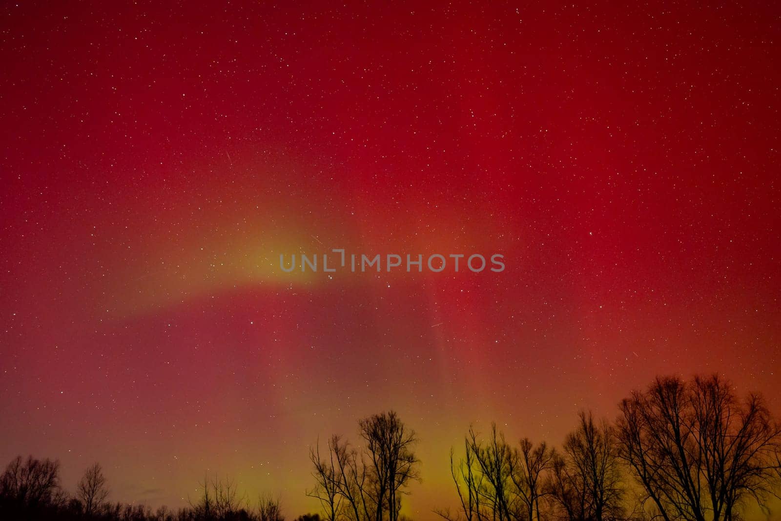 Bright red and green aurora lights on the starry sky by VitaliiPetrushenko