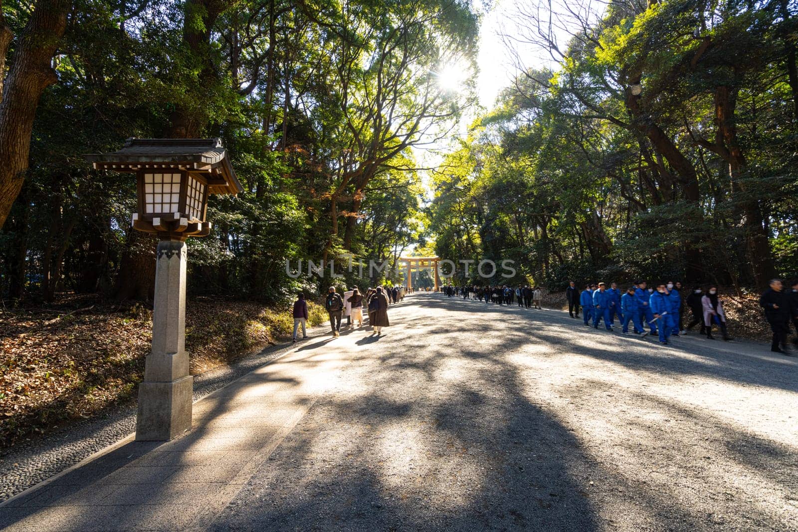 Tokyo, Japan. January 8, 2024. the internal avenues of the park that lead to Mriji Shinto temple 