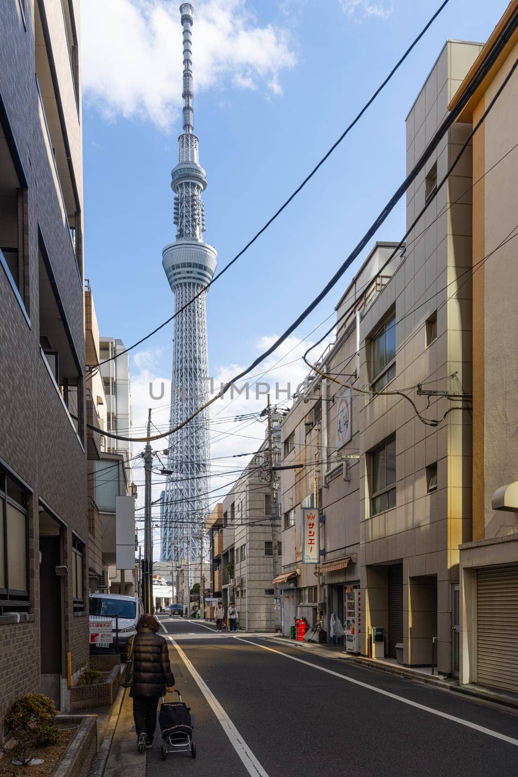 Tokyo, Japan. January 2024. Sumida district houses with the Tokyo Skytree tower in the background
