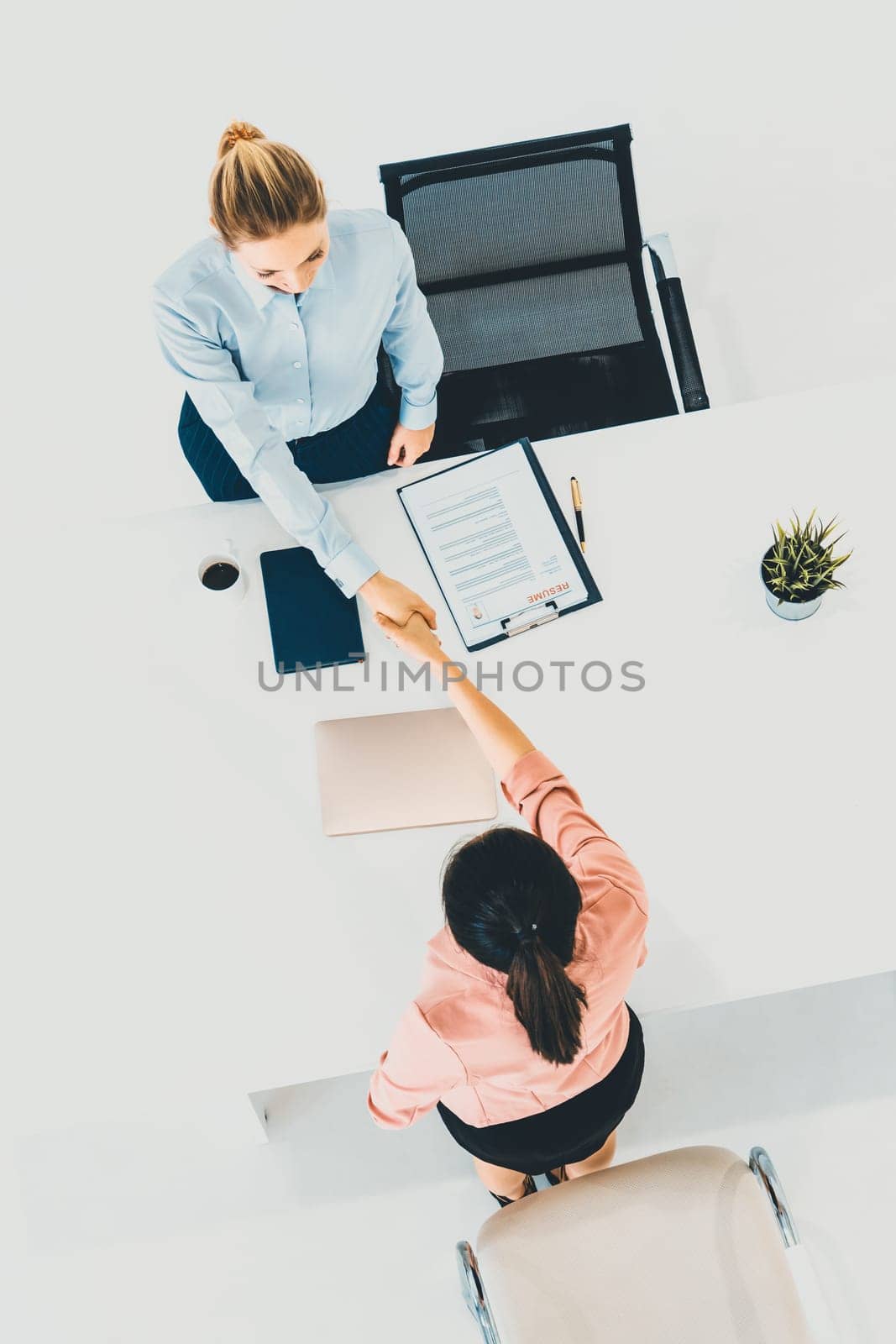 Two young business women in meeting at office table for job application and business agreement. Recruitment and human resources concept. uds