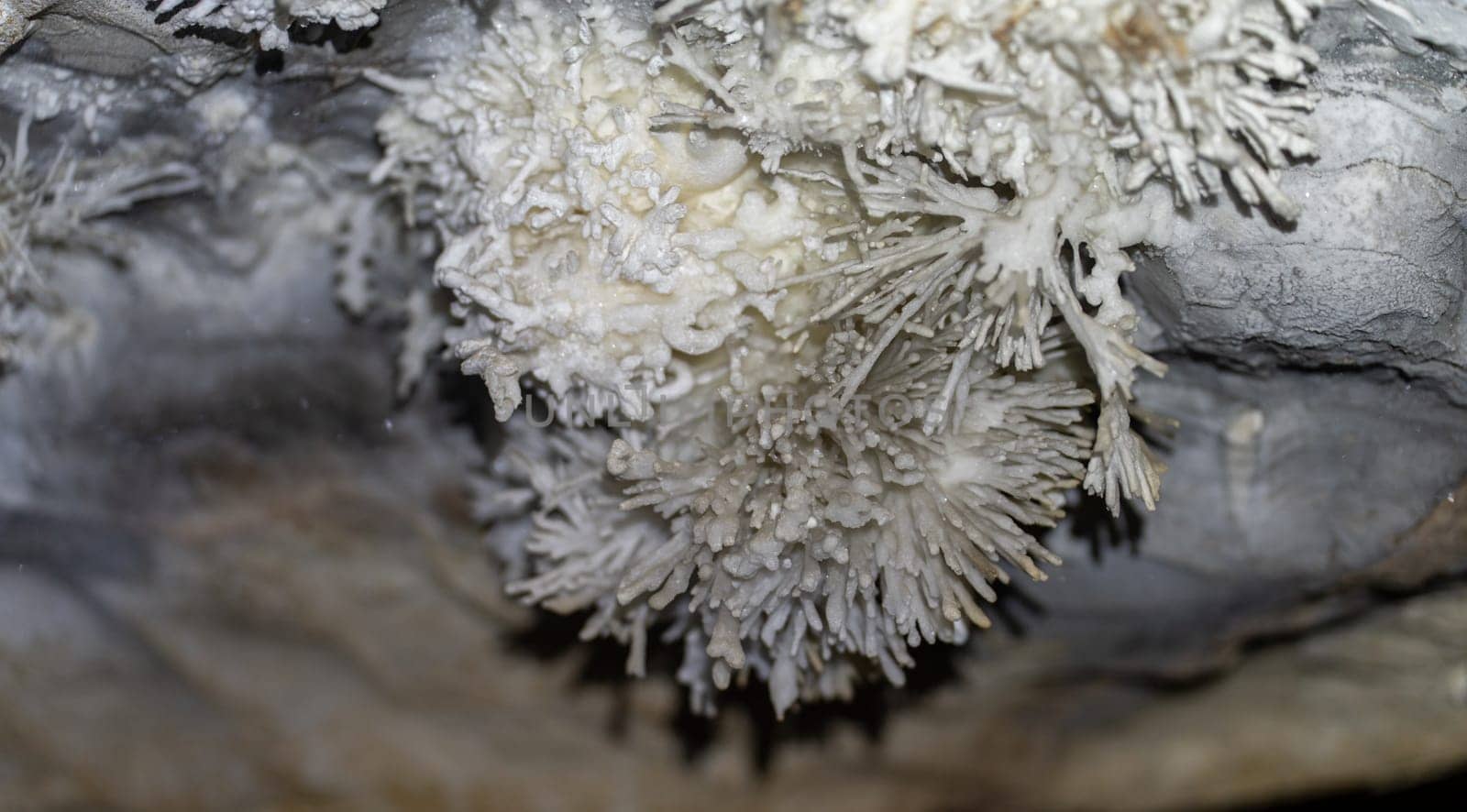 Stunning Calcite Crystals in Underground Cave Environment by FerradalFCG