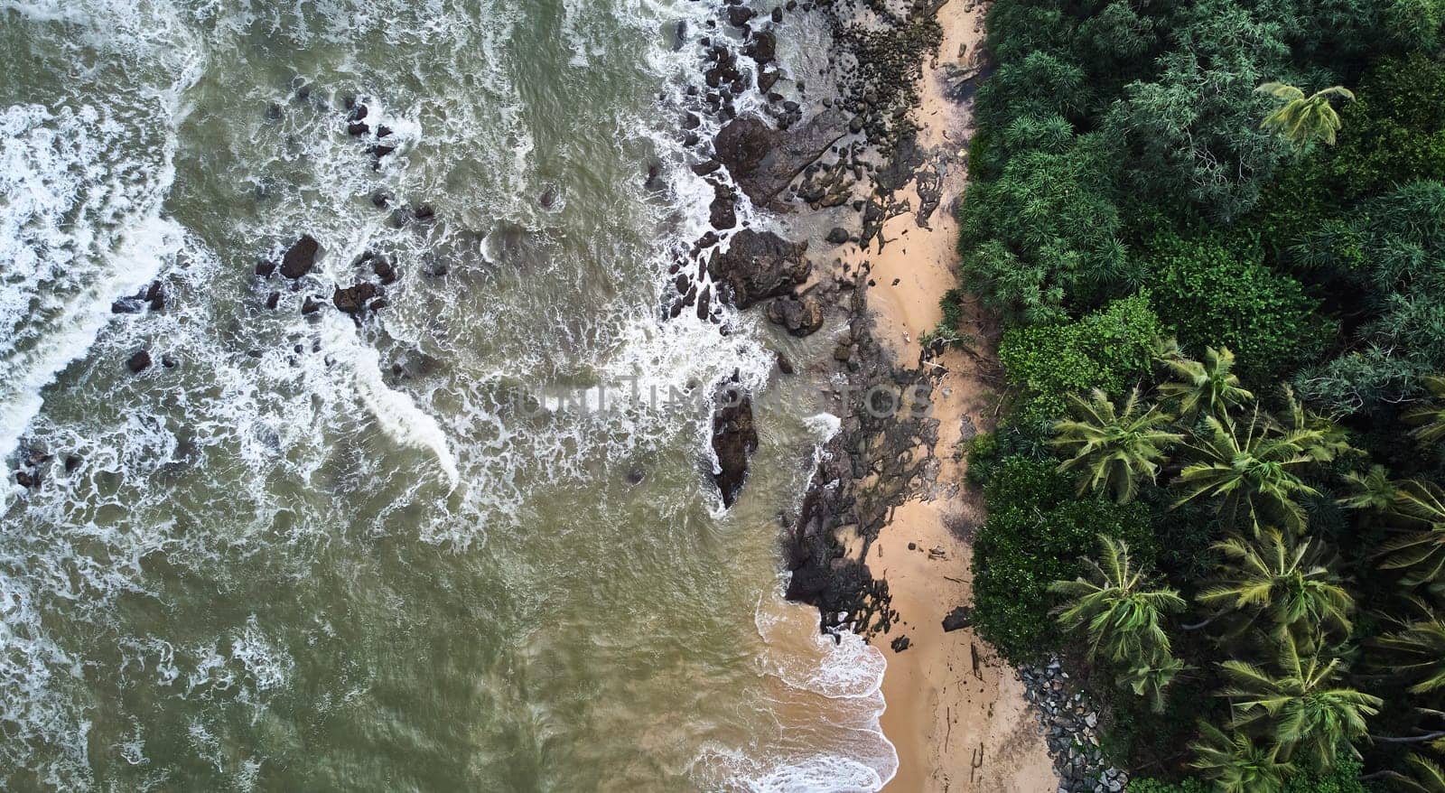 Aerial view of the beach with palm trees. Sri-lanka, Matara. High quality photo