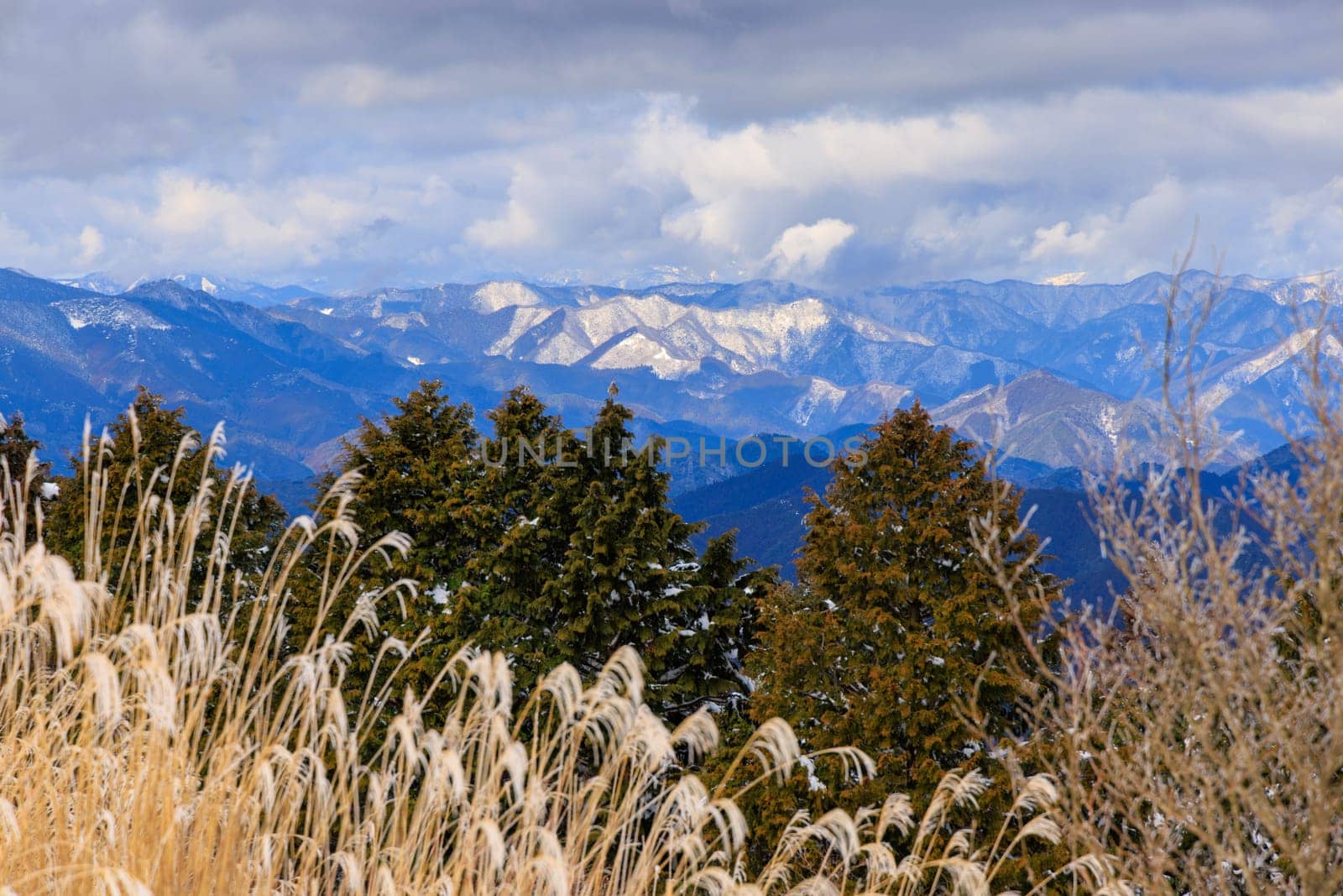 Dry grass, trees, and view of snowy mountain range on winter day by Osaze