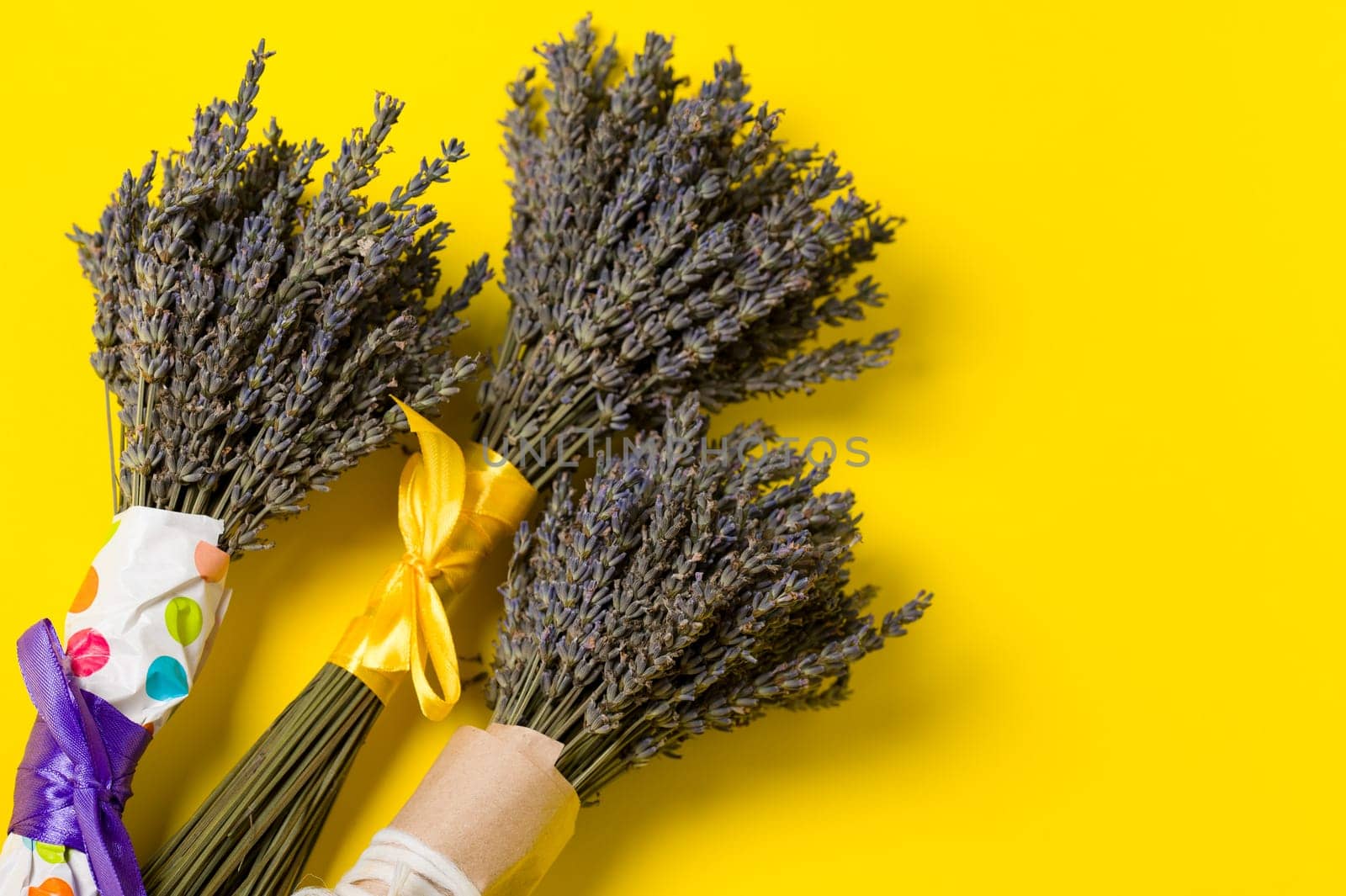 Three bouquets of dried lavender on a yellow background. by Niko_Cingaryuk
