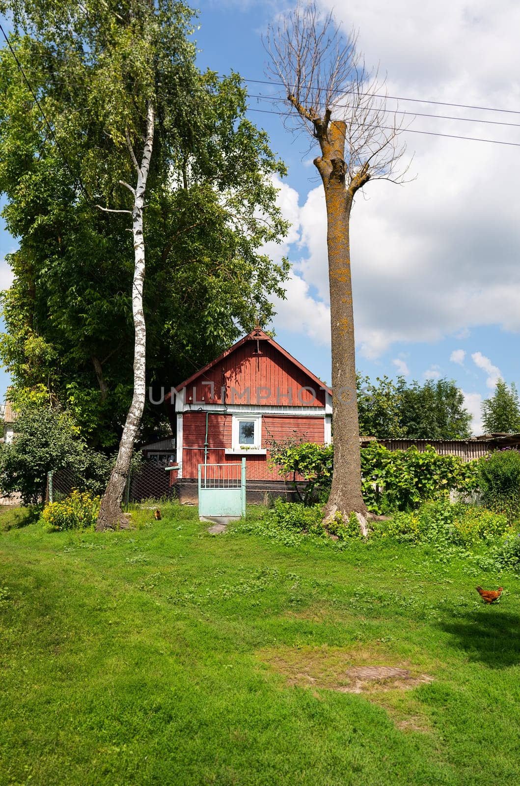 A charming red wooden shed amidst greenery under a clear sky. Rustic, serene, rural landscape